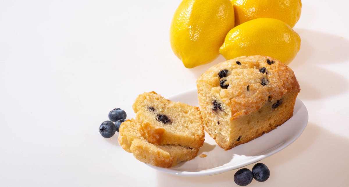 Gourmet Blueberry Lemon Mini Loaf